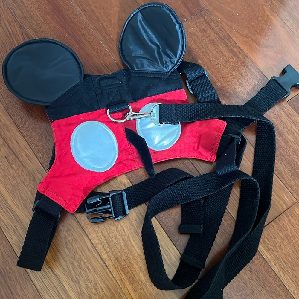 Disney inspired back harness with strap for toddlers